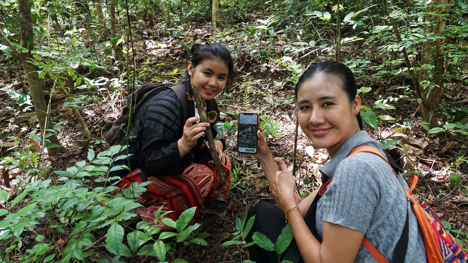 Conference participants observe and monitor forest biodiversity during a field visit.