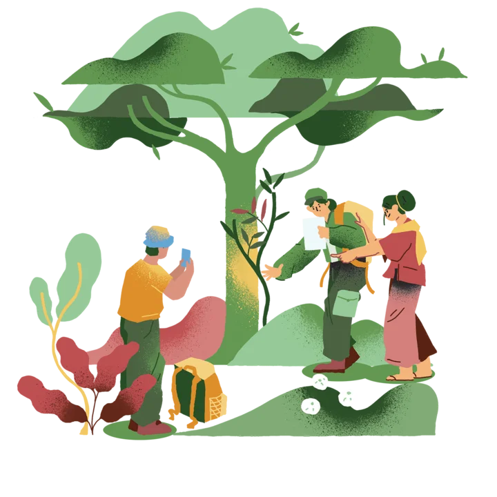 Climate change adaptation and mitigation