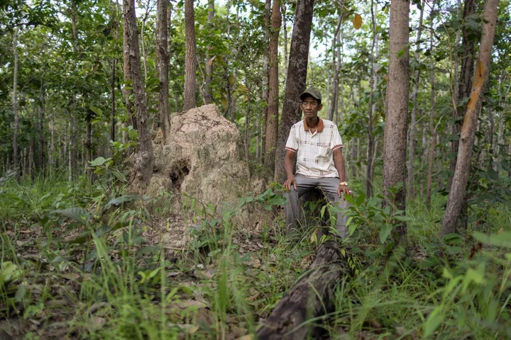 Pao Kosal, O Taneung community forest chief