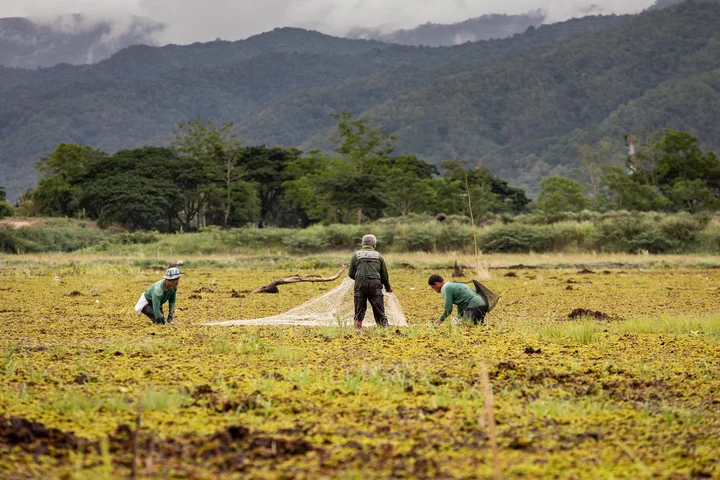 Community forestry in Thailand