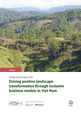 Change beyond supply chains: Driving positive landscape transformation through inclusive business models in Viet Nam