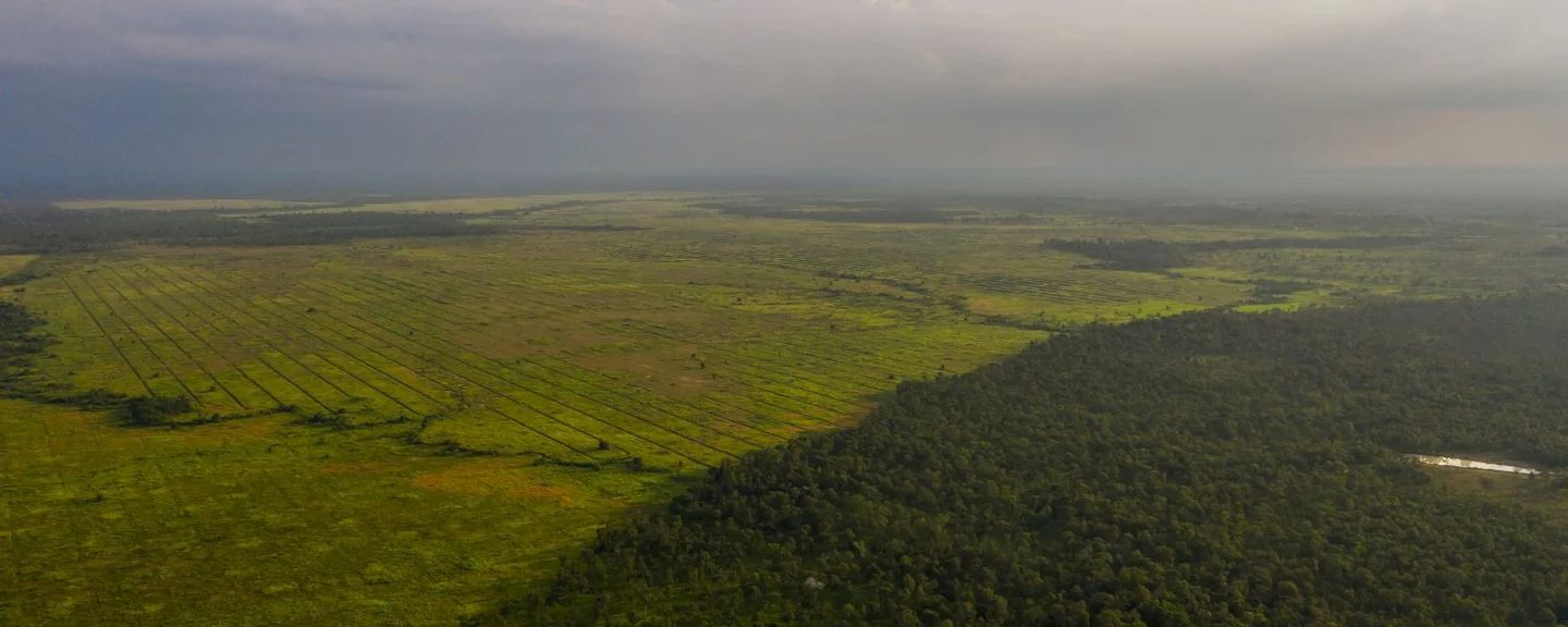 Bird's eye view of O Taneung Community Forest in Kratie Province, Cambodia. There is a dramatic change in the landscape once the restored community forest ends.