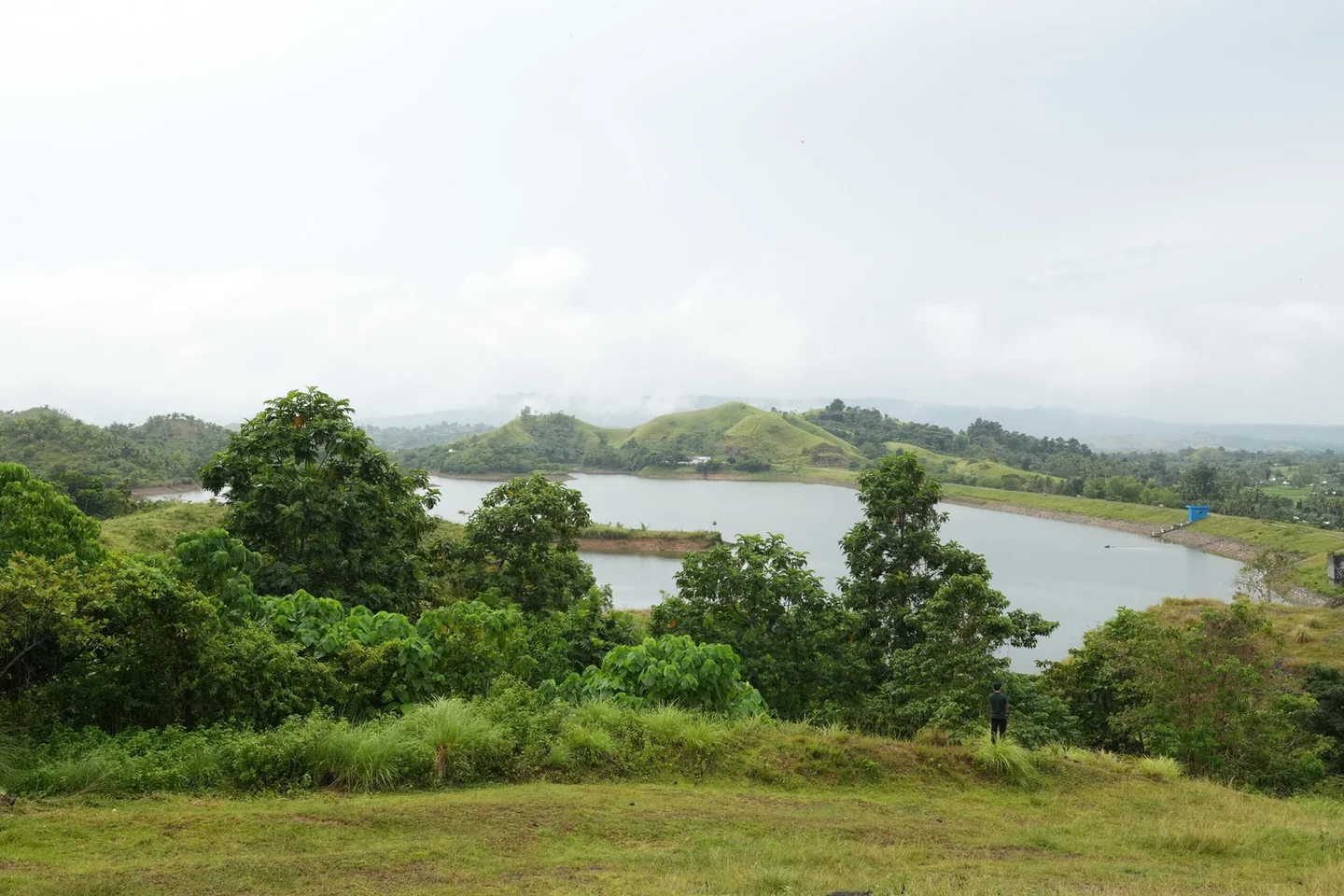 The ridge area of the Carood Watershed Model Forest, restored by local communities and partners.  