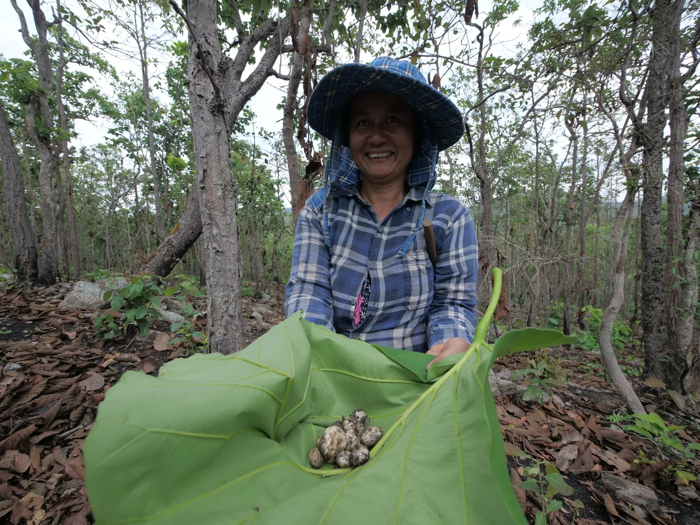 Forest resource and biodiversity data collection training ensure that community members can develop community forest management plans that respond to their specific needs and contexts.