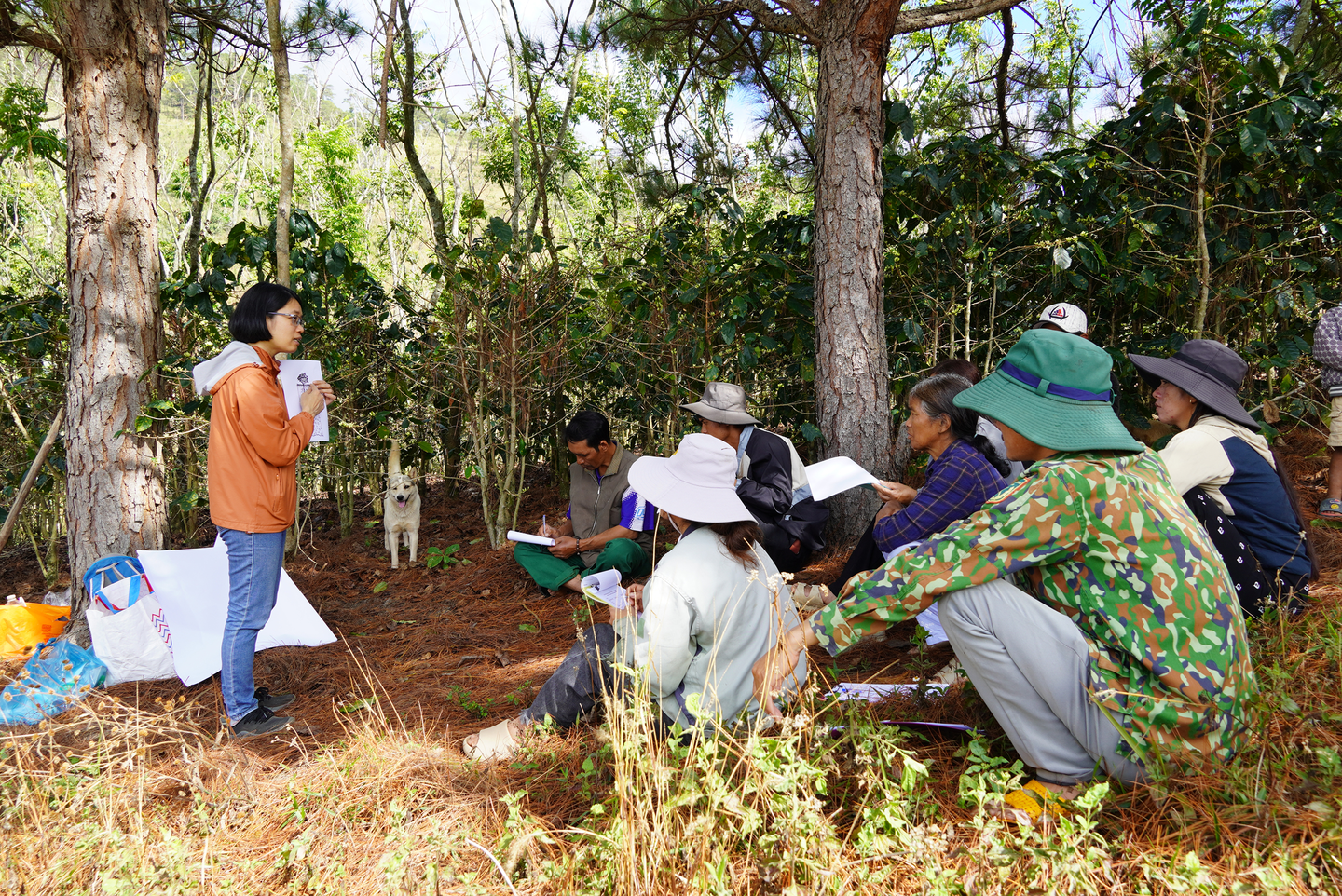 Soil and water training in Pang Tieng