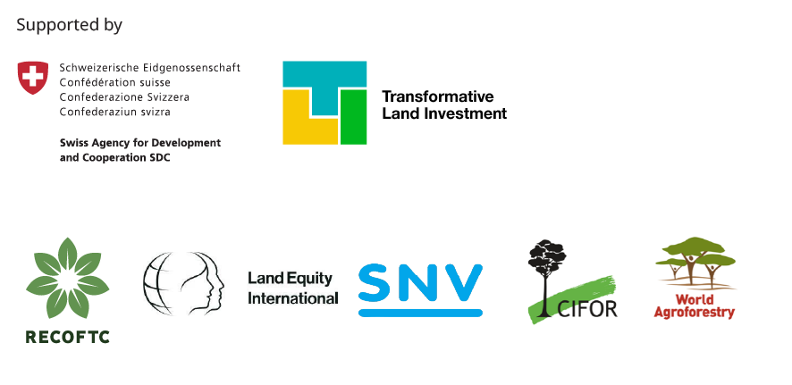 TLI logo