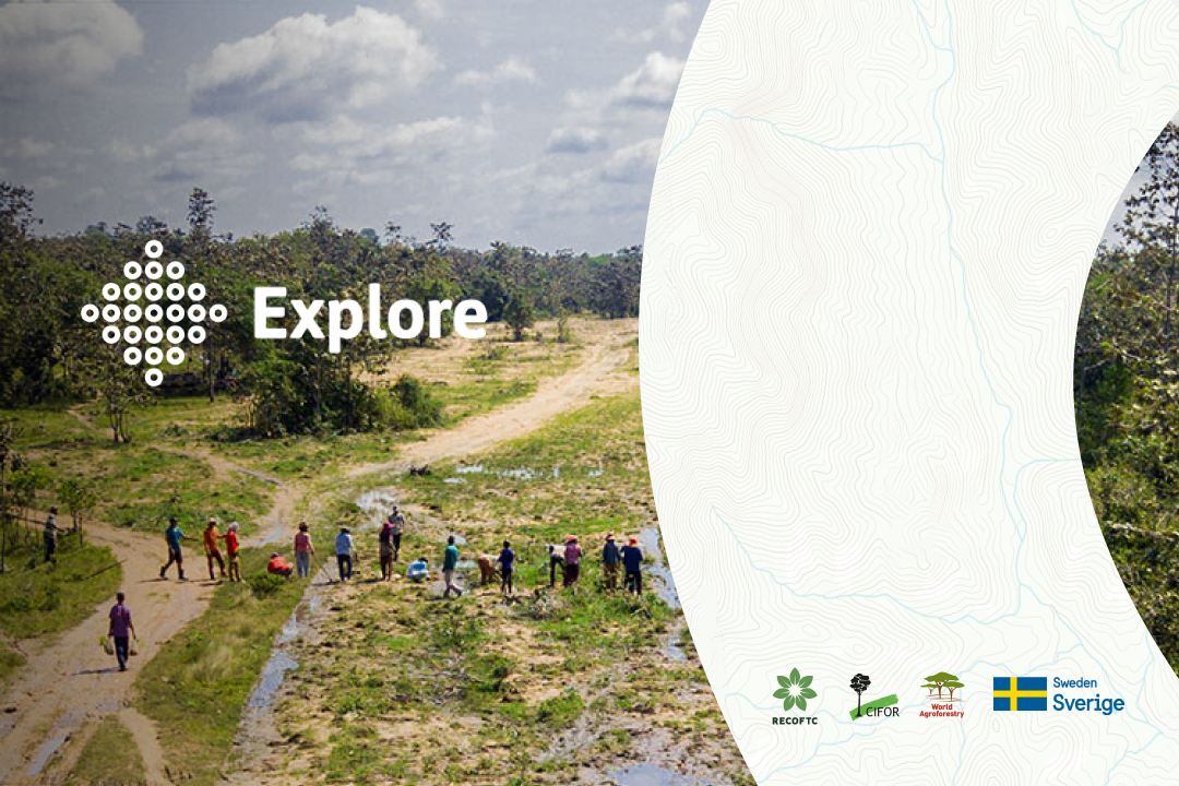 Explore project banner