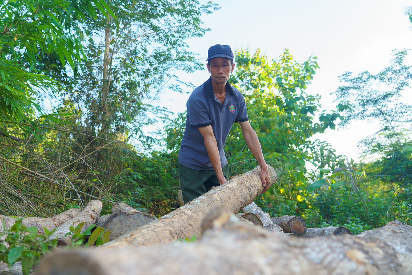 Village forestry in Lao PDR