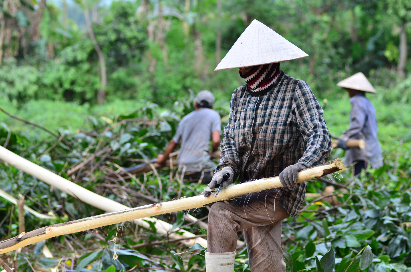 Vietnam_Landscape_NgheAn