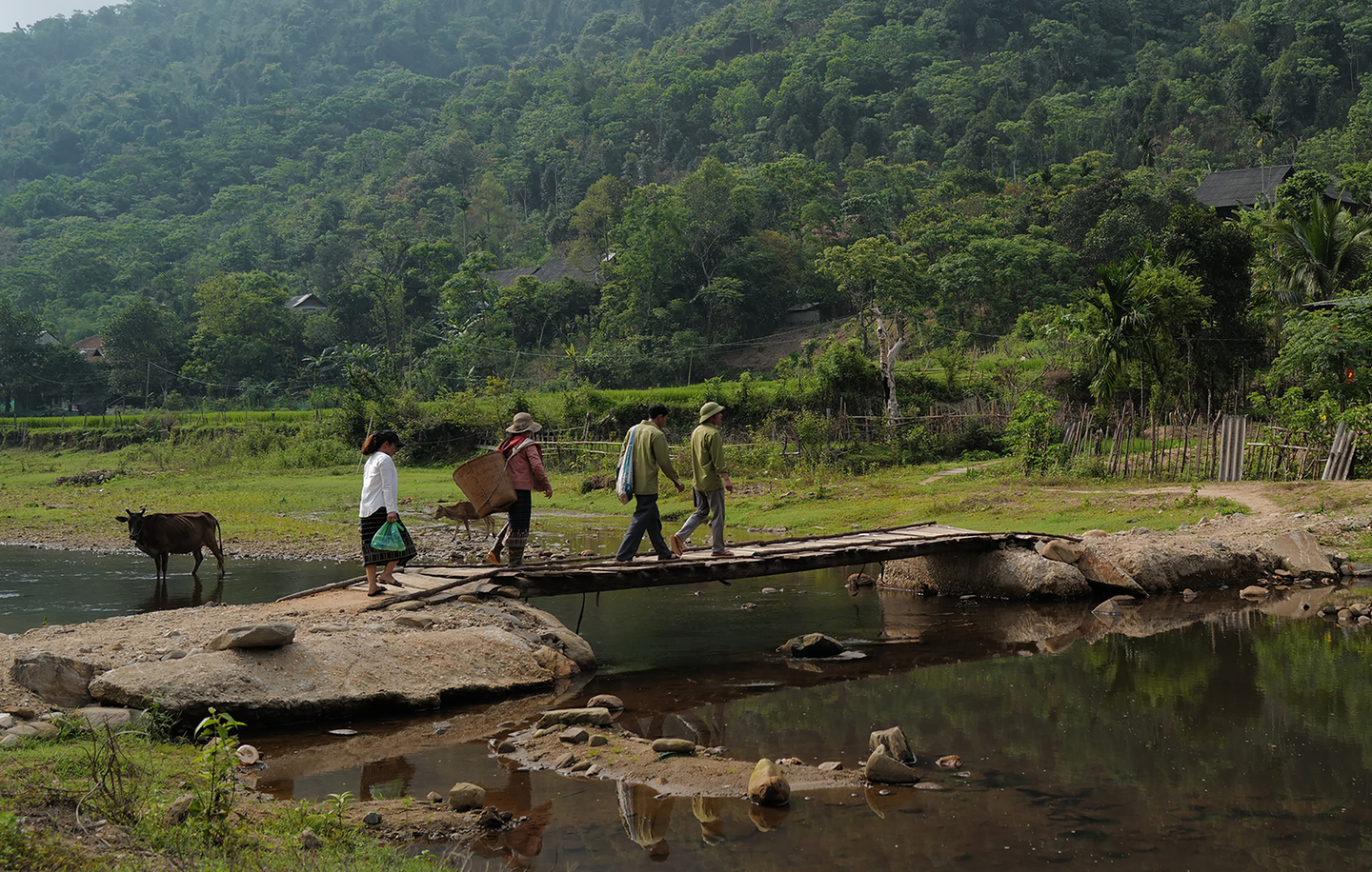 Vietnam_Landscape_NgheAn