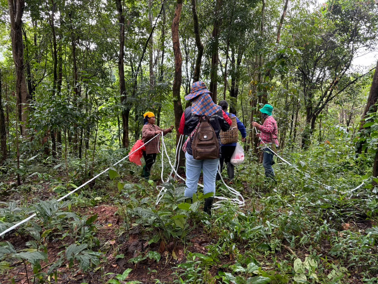 Community members at Ban Huai Had Community Forest in Nan province