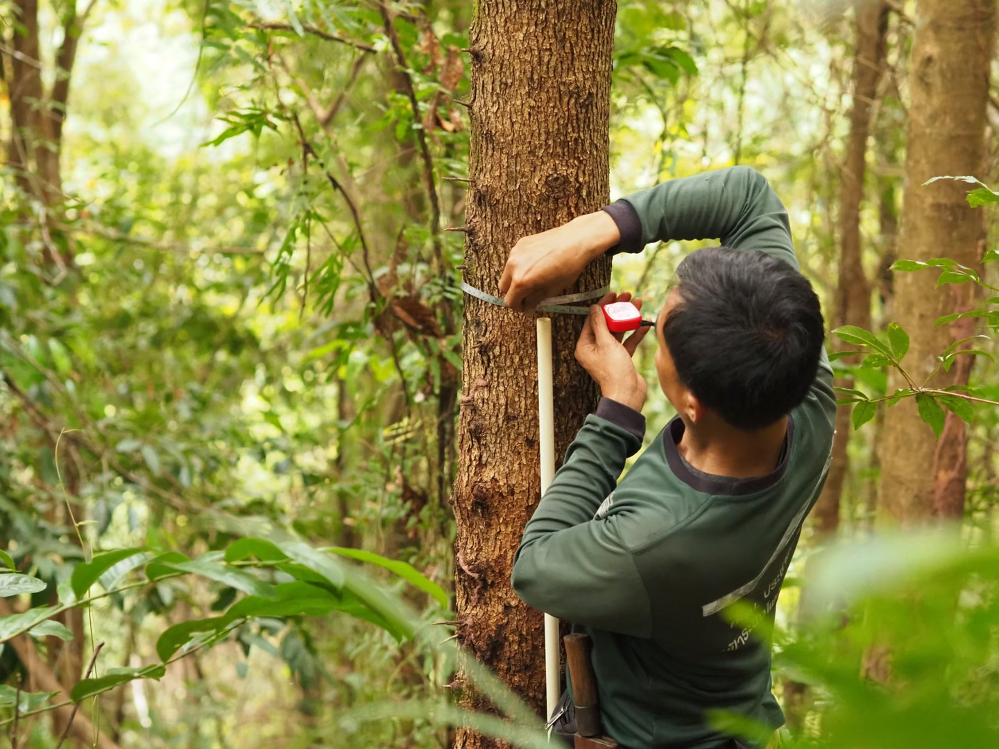 Community members at Ban Huai Had Community Forest in Nan province