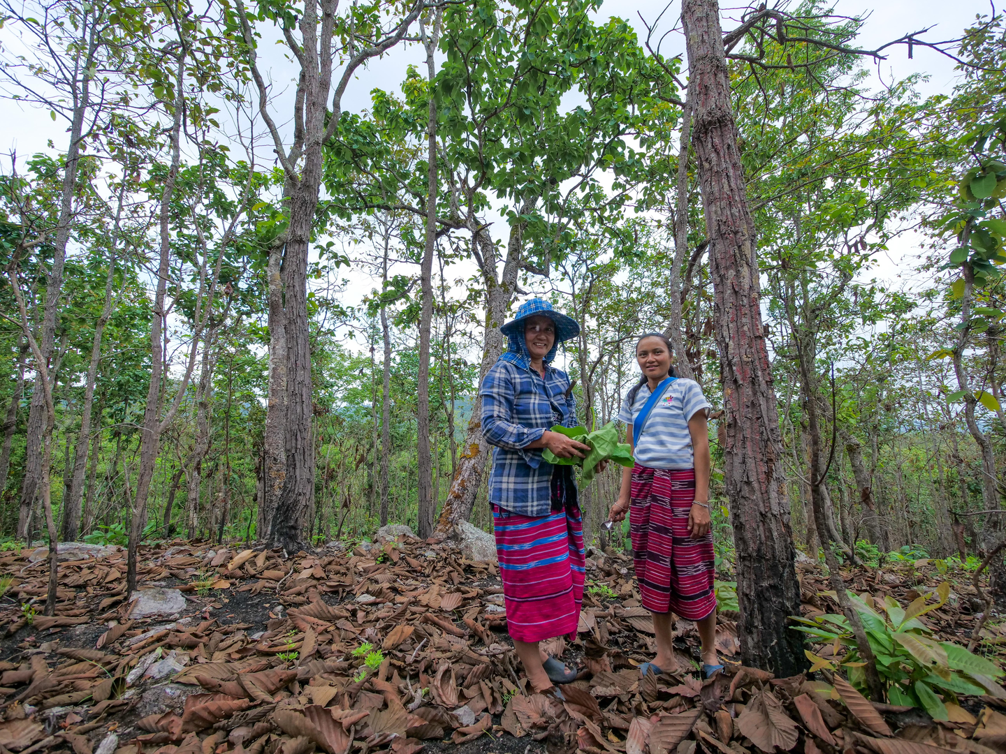 Community forest members monitoring biodiversity in Chiang Mai, Thailand