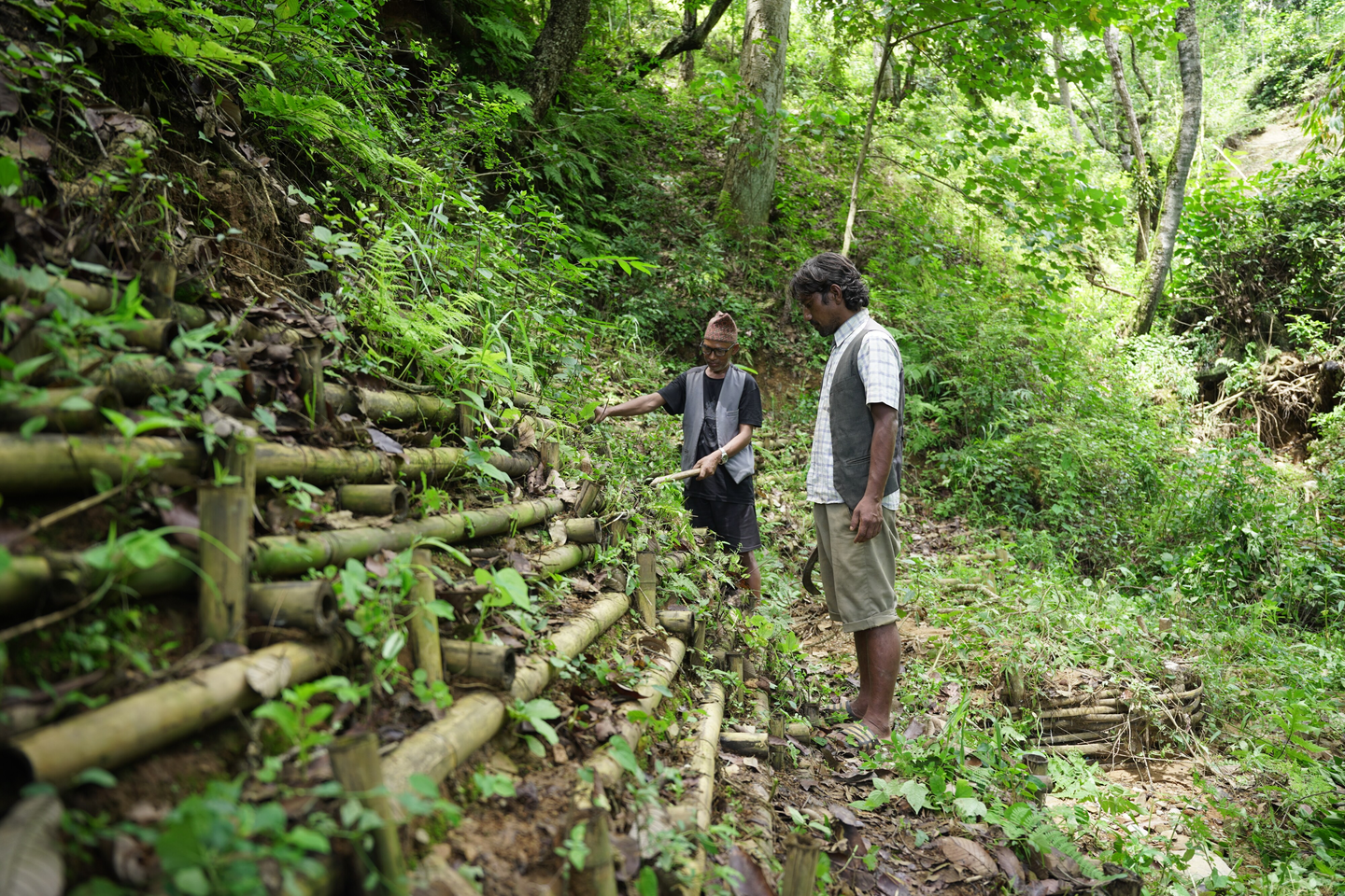 Two community members stand beside bamboo steps on a forest path in Nepal.