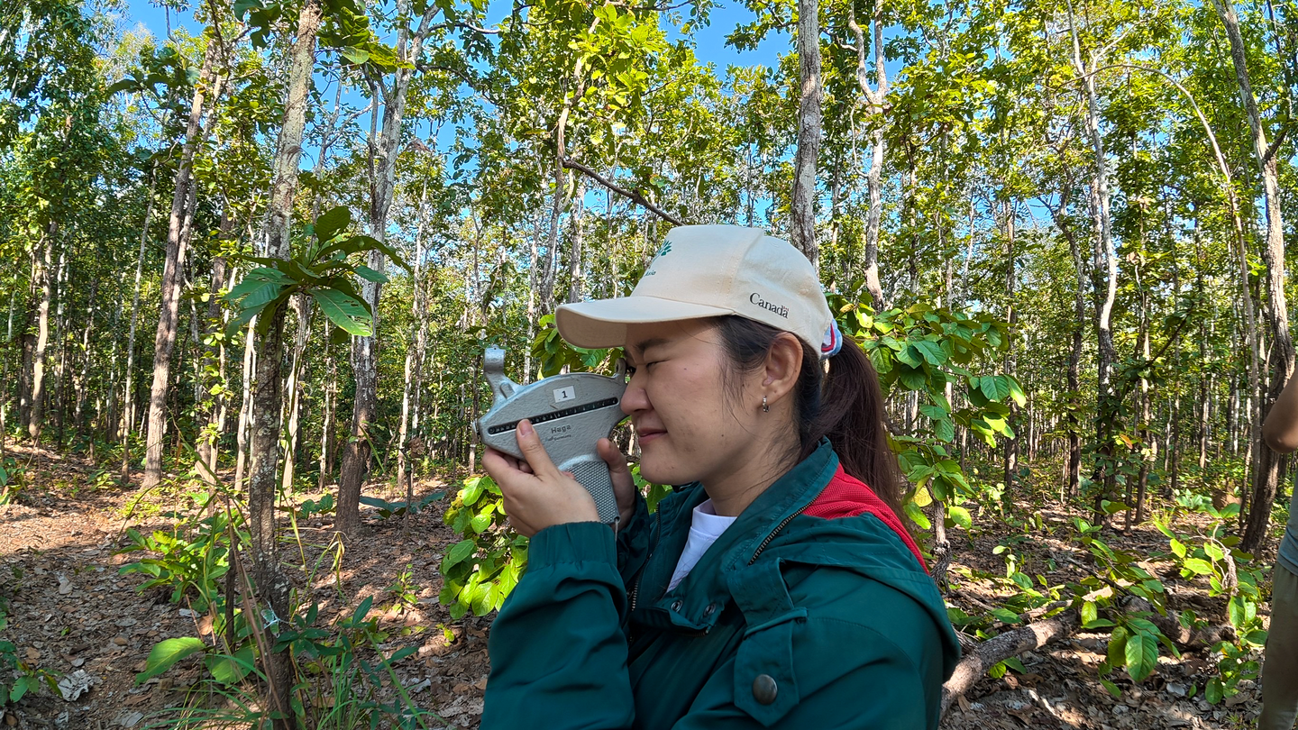 Woman measuring a tree in a Model Forest