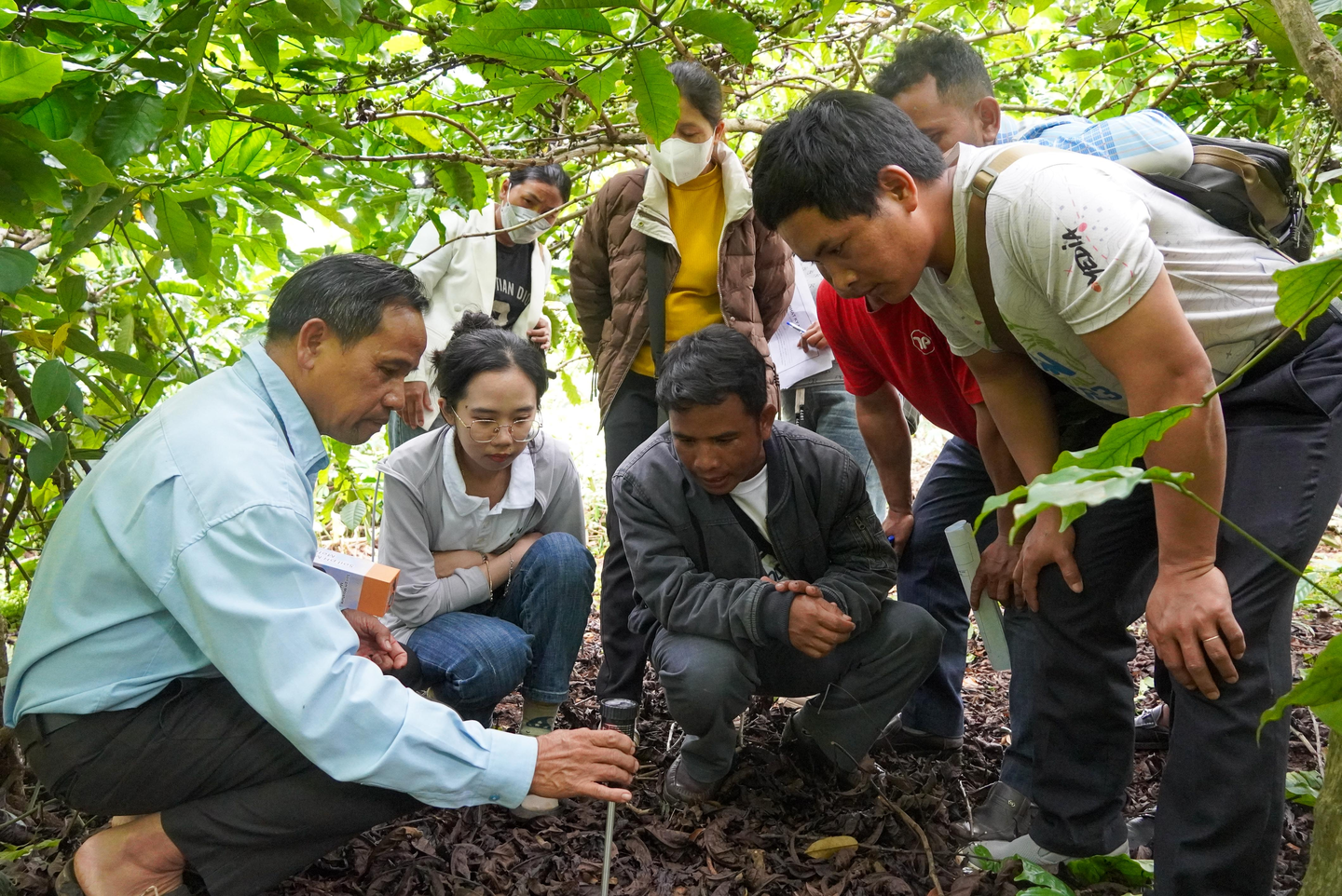 Study visit on sustainable coffee farming in Viet Nam