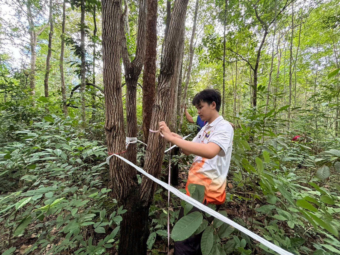 Tubtim Siam 07 Community Forest in Sisaket province