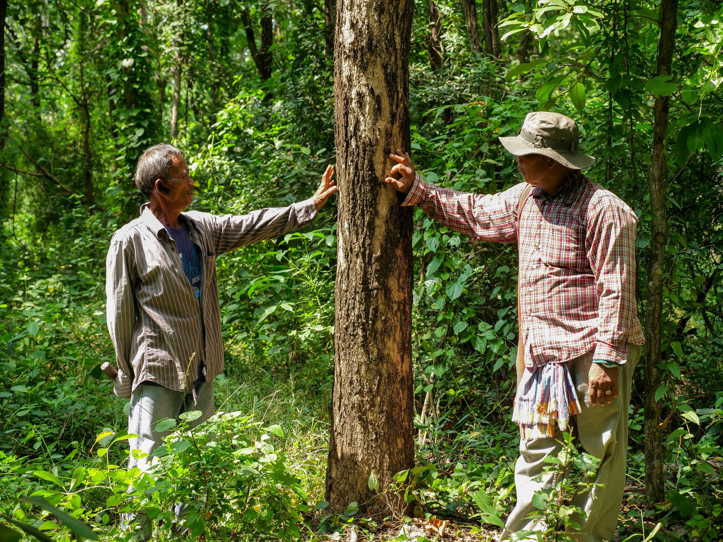 Two men stand beside a tree in Ratchaburi Community Forest, western Thailand.