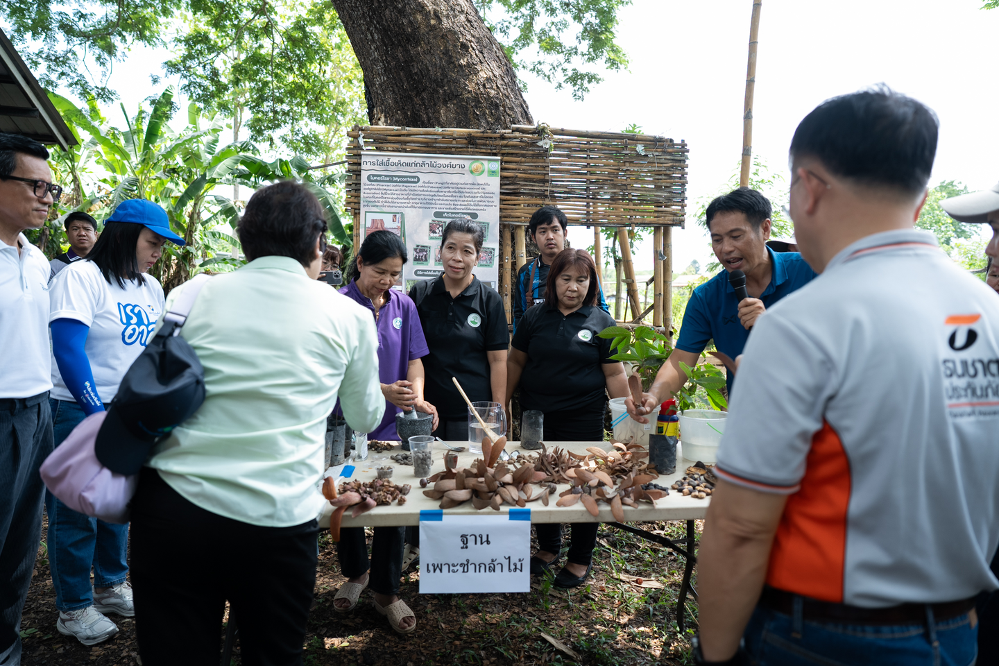 Trees4All field visit in Nan province, Thailand