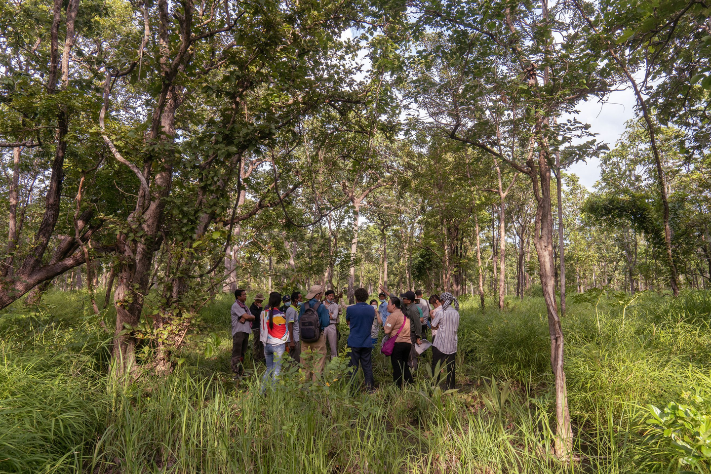 A donor and partner visit to O Tanoeung community forest in Kratie province to learn about their progress and challenges