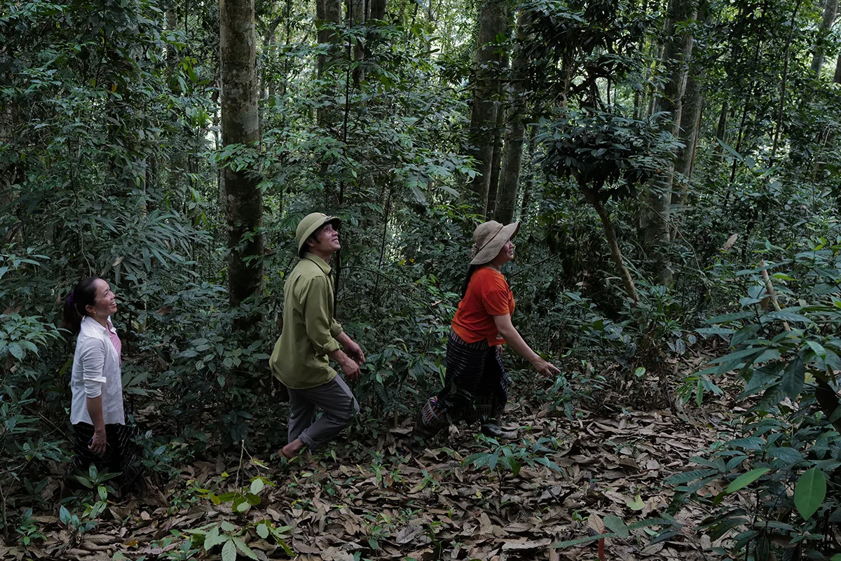 A community forest in Thong Thu, a commune in Que Phong district, Nghe An, Viet Nam. The community forest patrol comprises both men and women.
