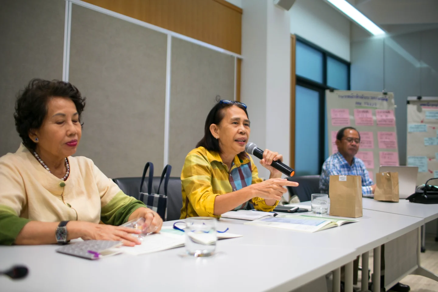 woman speaking in a meeting