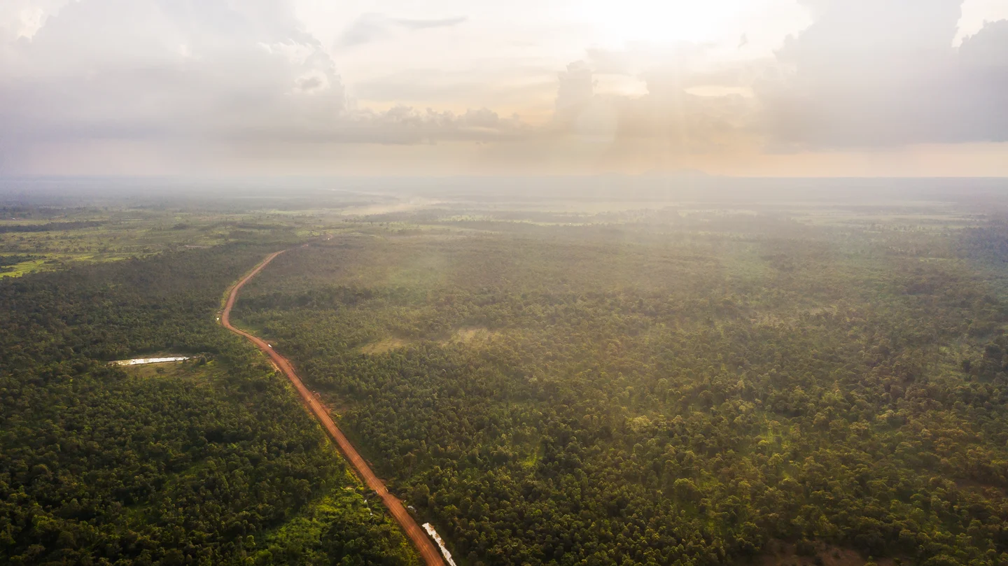 មានភាពខុសគ្នាយ៉ាងខ្លាំងចំពោះគម្របព្រៃឈើ បន្ទាប់ពីព្រំដែនព្រៃសហគមន៍ (នៅខាងឆ្វេង) ស្រុកសំបូរ ខេត្តក្រចេះ ប្រទេសកម្ពុជា ថ្ងៃទី២៤ ខែសីហា ឆ្នាំ២០២០ 